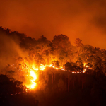 Incendi in Canada, Spagna, Francia e Scozia: il fumo aggrava l'inquinamento
